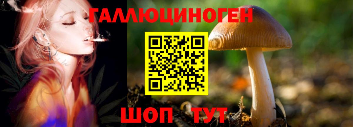 Псилоцибиновые грибы ЛСД  Вход с VPN  Димитровград 